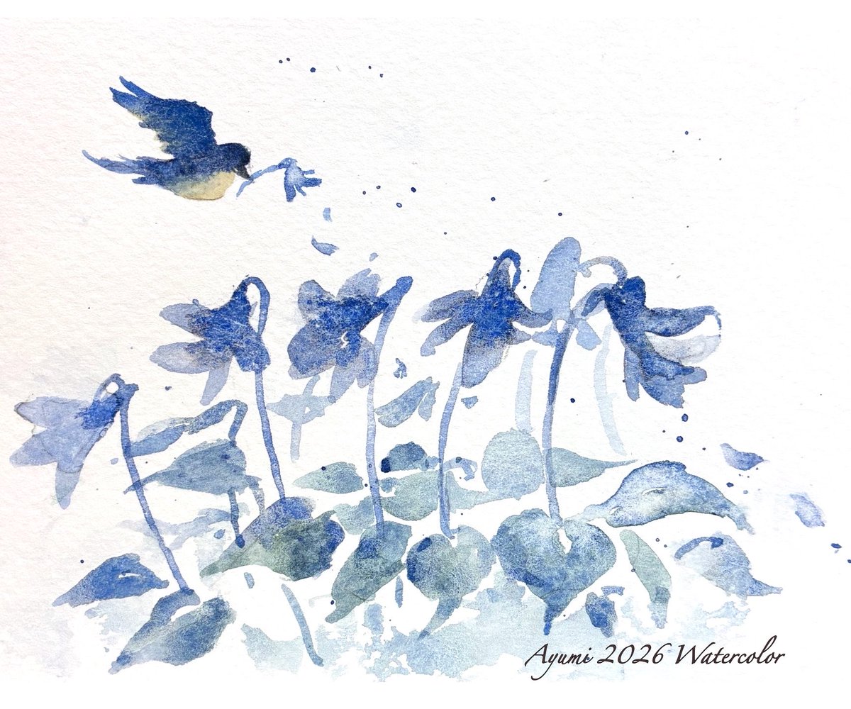 mi_yu_ami's tweet photo. 🕊️🕊｡.｡:+*💙

“幸せの青い鳥、すみれの花”
#透明水彩　#watercolor https://t.co/0GboyoJxX9