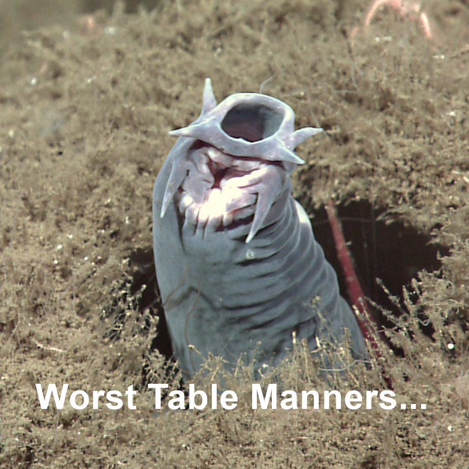 500wayscom's tweet photo. This creature has the worst table manners ever. Discover the details at https://t.co/QecgZXtmXo (#hagfish, #fish, #Ichthyology, #zoology, #biology, #marine, #marineLife, #tableManners, #etiquette, #worst, #awful, #terrible, #horrible, #yuckky, #eating) https://t.co/DhJsMhuwd1