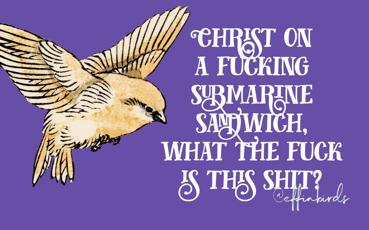 EffinBirds's tweet photo. https://t.co/248MKizAt0