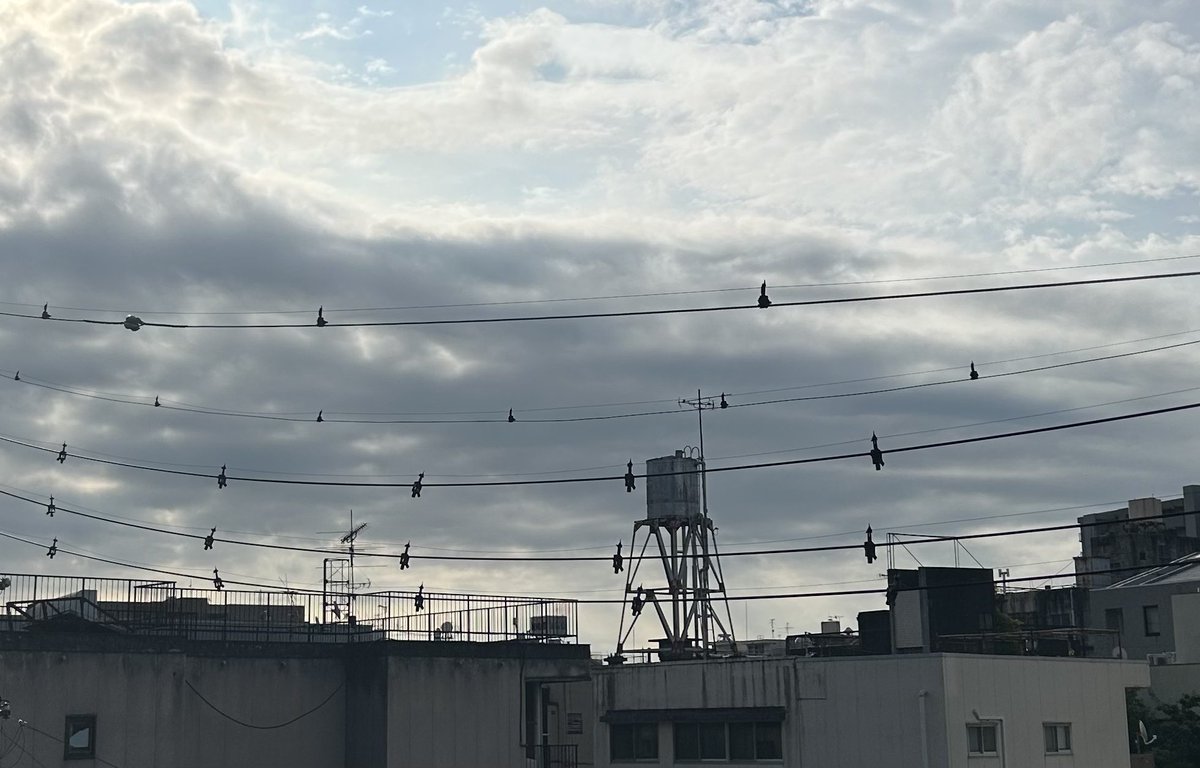 ryouteiokami's tweet photo. おはようございます。 今朝の大垣は雲の多い空。 でも、雲の向こうにはちゃんとお日様が。
太陽さん、今日はもう少し顔を出してくださいね。 青空が見えると、それだけで気持ちも明るくなります。
#企業朝の挨拶 #大垣 #おはようございます https://t.co/d1j6E5a6AH
