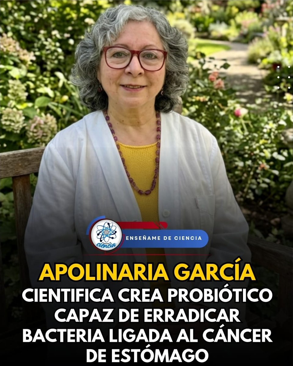 EnsedeCiencia's tweet photo. Una científica chilena ha marcado un nuevo hito en la historia de la medicina. Ya que ha creado el primer probiótico que busca prevenir la infección por Helicobacter pylori, que es el principal riesgo de padecer cáncer de estómago. Lactobacillus fermentum UCO-979C. Esta cepa cuenta con validación científica para combatir la bacteria Helicobacter pylori y se detectó que es capaz de impedir que esta bacteria prospere en el estómago humano.