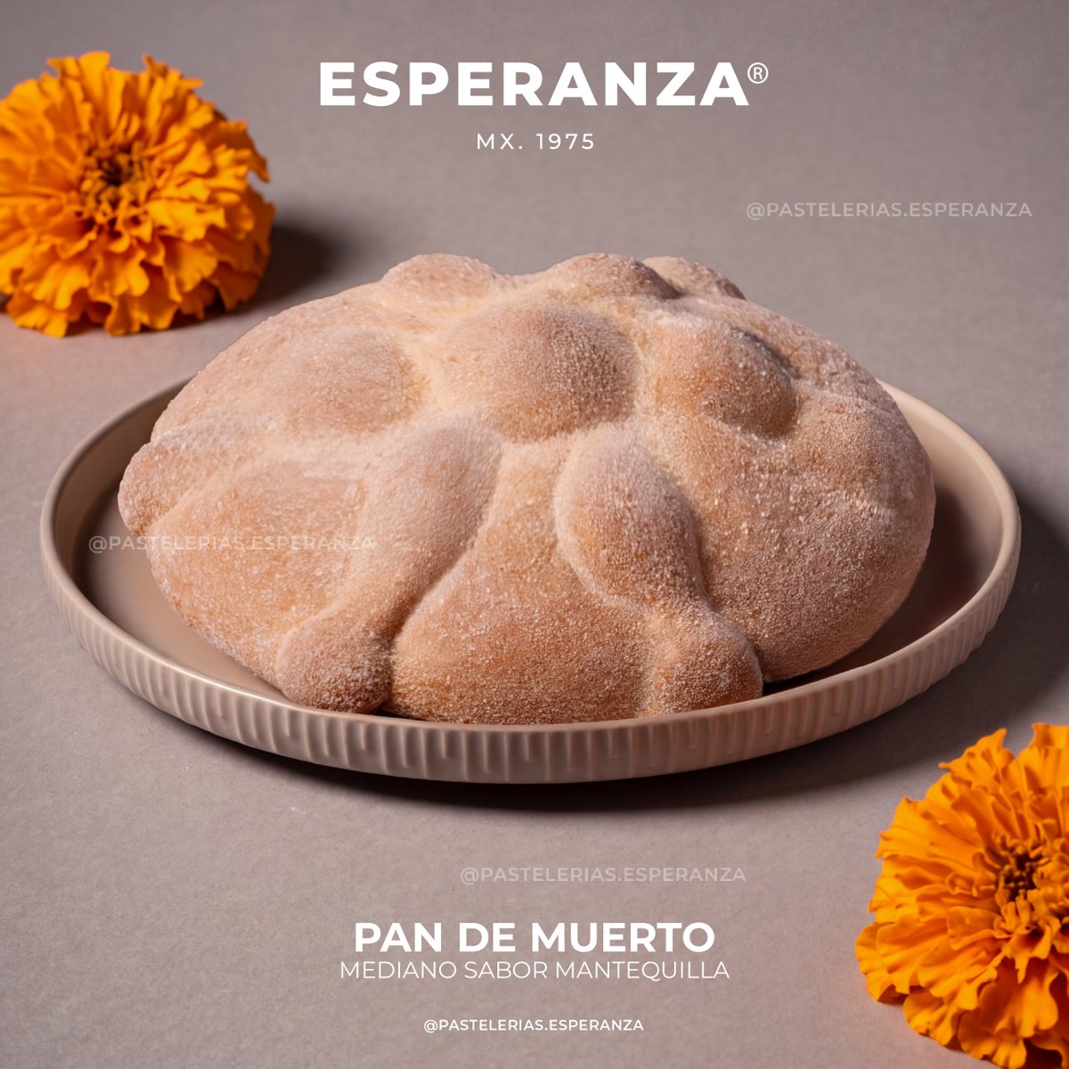 laesperanzamx's tweet photo. Para compartir en la mesa de siempre. Disfruta nuestro Pan de Muerto sabor mantequilla, tamaño mediano, tal como lo recuerdas.
#PasteleriasEsperanza #DeleitandoTusSentidos #DulceReencuentro https://t.co/NJ1GcdWwG1