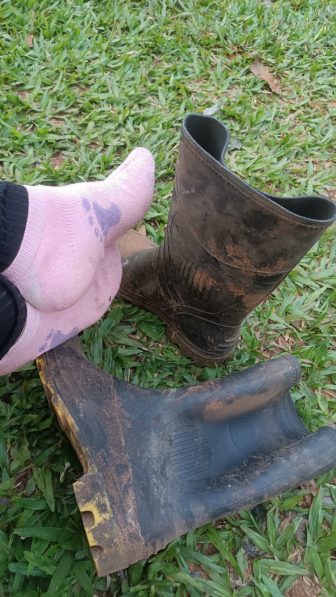 La_patronaPY's tweet photo. Dirty farm boots after a long day 🌾🐄
Real farm girl, real dirt.real tributes.$20 to worship your farm patrona 👑 https://t.co/j2vdLc5QQb #bootsworship #paypig https://t.co/JMG5dF1Wom