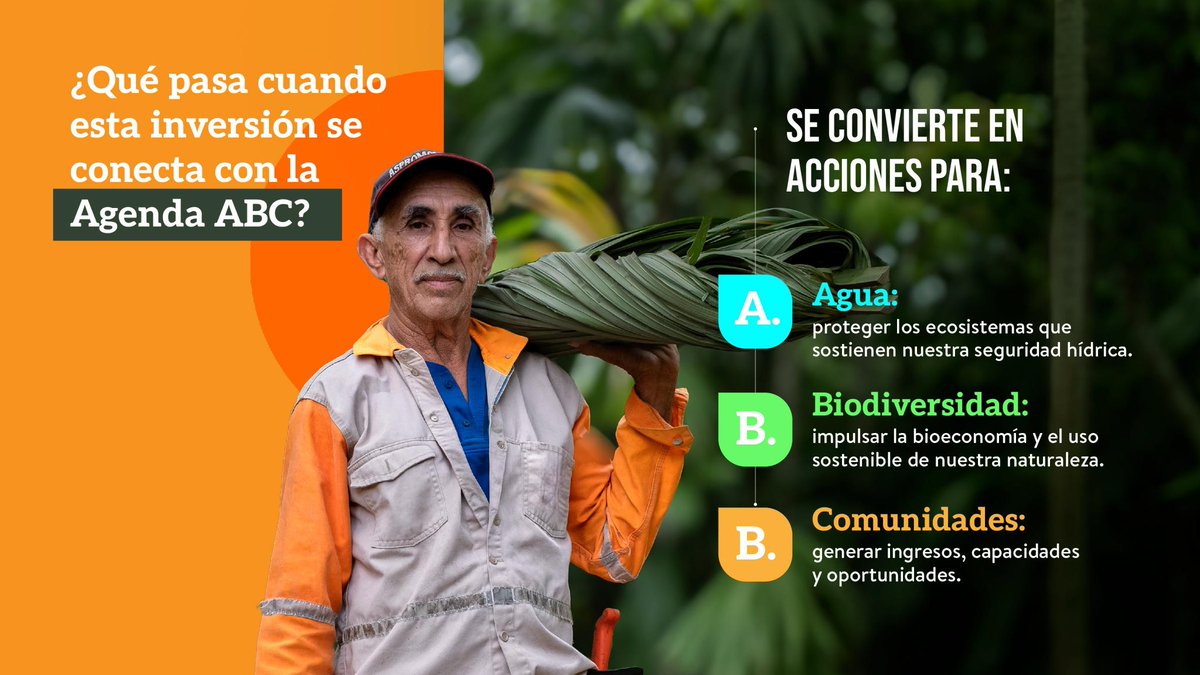 MinAmbienteCo's tweet photo. 🤔 ¿Sabías que, a través de Obras por Impuestos, la inversión empresarial puede impulsar Pagos por Servicios Ambientales (PSA) y Negocios Verdes en los territorios?

Desde el #ABCdelAmbiente, orientamos estas iniciativas según las prioridades de cada región, articulando la conservación con el desarrollo local y las actividades productivas sostenibles.

✅ Para avanzar en este propósito, la Oficina de Negocios Verdes, liderada por @BlondinethCarla, trabaja junto a empresas, entidades territoriales y aliados como @TNC_Colombia, sumando inversión, conocimiento y capacidades para que proteger la naturaleza también abra nuevas oportunidades para las comunidades.
