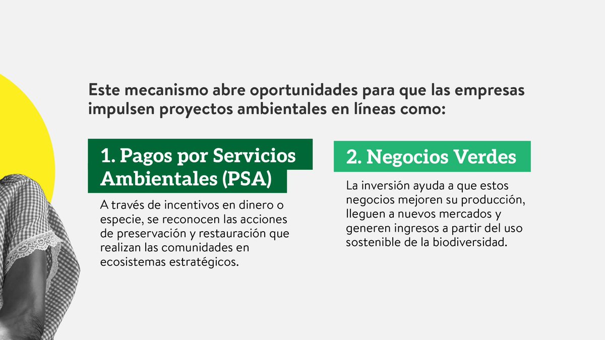 MinAmbienteCo's tweet photo. 🤔 ¿Sabías que, a través de Obras por Impuestos, la inversión empresarial puede impulsar Pagos por Servicios Ambientales (PSA) y Negocios Verdes en los territorios?

Desde el #ABCdelAmbiente, orientamos estas iniciativas según las prioridades de cada región, articulando la conservación con el desarrollo local y las actividades productivas sostenibles.

✅ Para avanzar en este propósito, la Oficina de Negocios Verdes, liderada por @BlondinethCarla, trabaja junto a empresas, entidades territoriales y aliados como @TNC_Colombia, sumando inversión, conocimiento y capacidades para que proteger la naturaleza también abra nuevas oportunidades para las comunidades.