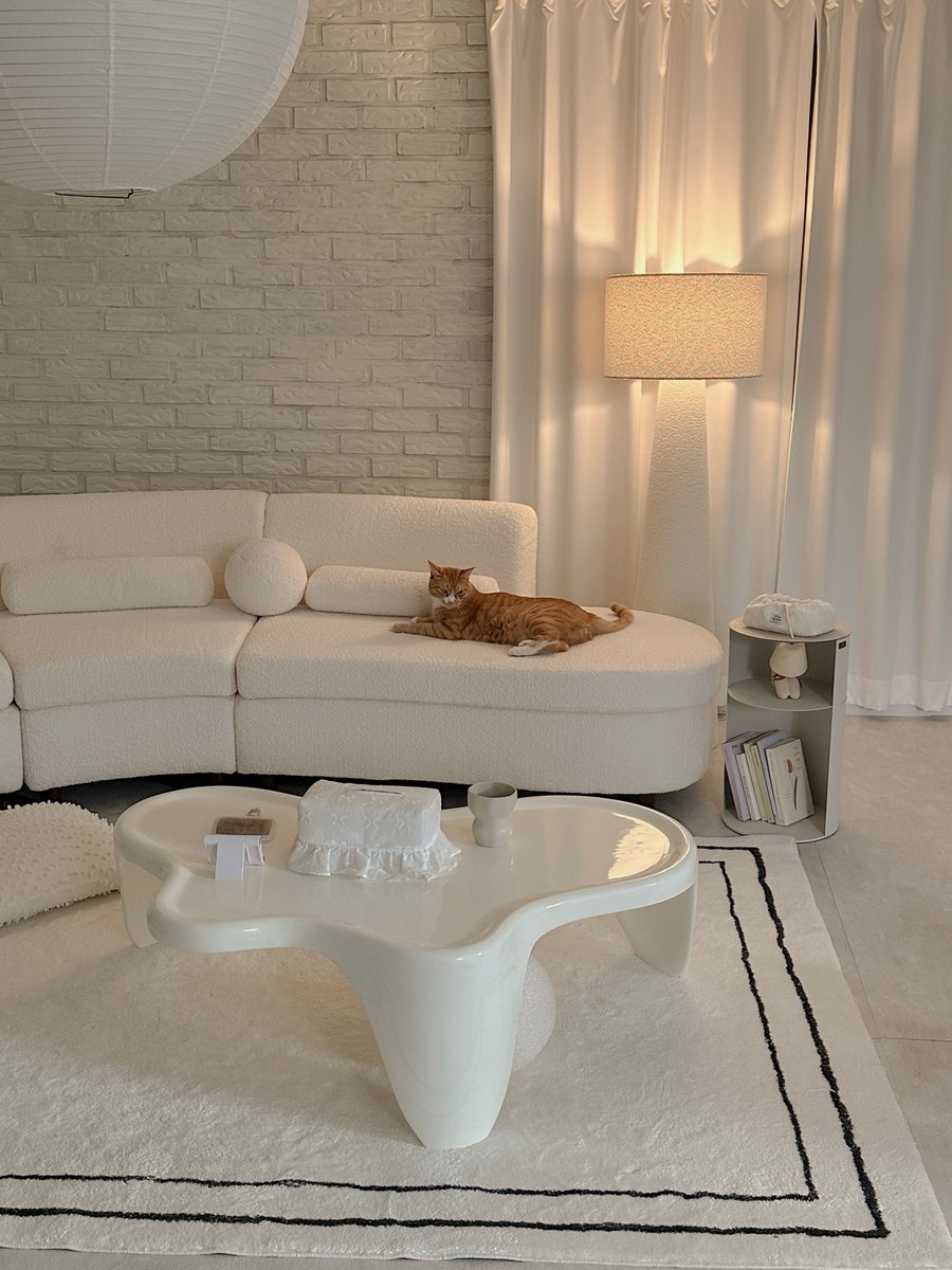 chloeandersonab's tweet photo. Our new sofa has completely changed the atmosphere, making every day feel exciting 🤍

Kkamkko, Nosik, and Komin seem to love it too. They’ve been running around so much that they broke another light 🥺 https://t.co/c0x7gdtmHt