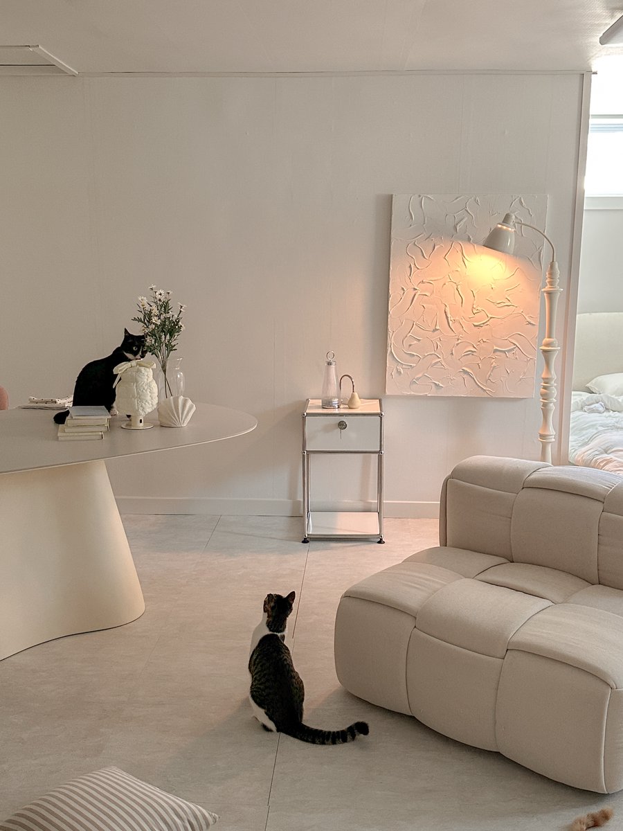 chloeandersonab's tweet photo. Our new sofa has completely changed the atmosphere, making every day feel exciting 🤍

Kkamkko, Nosik, and Komin seem to love it too. They’ve been running around so much that they broke another light 🥺 https://t.co/c0x7gdtmHt