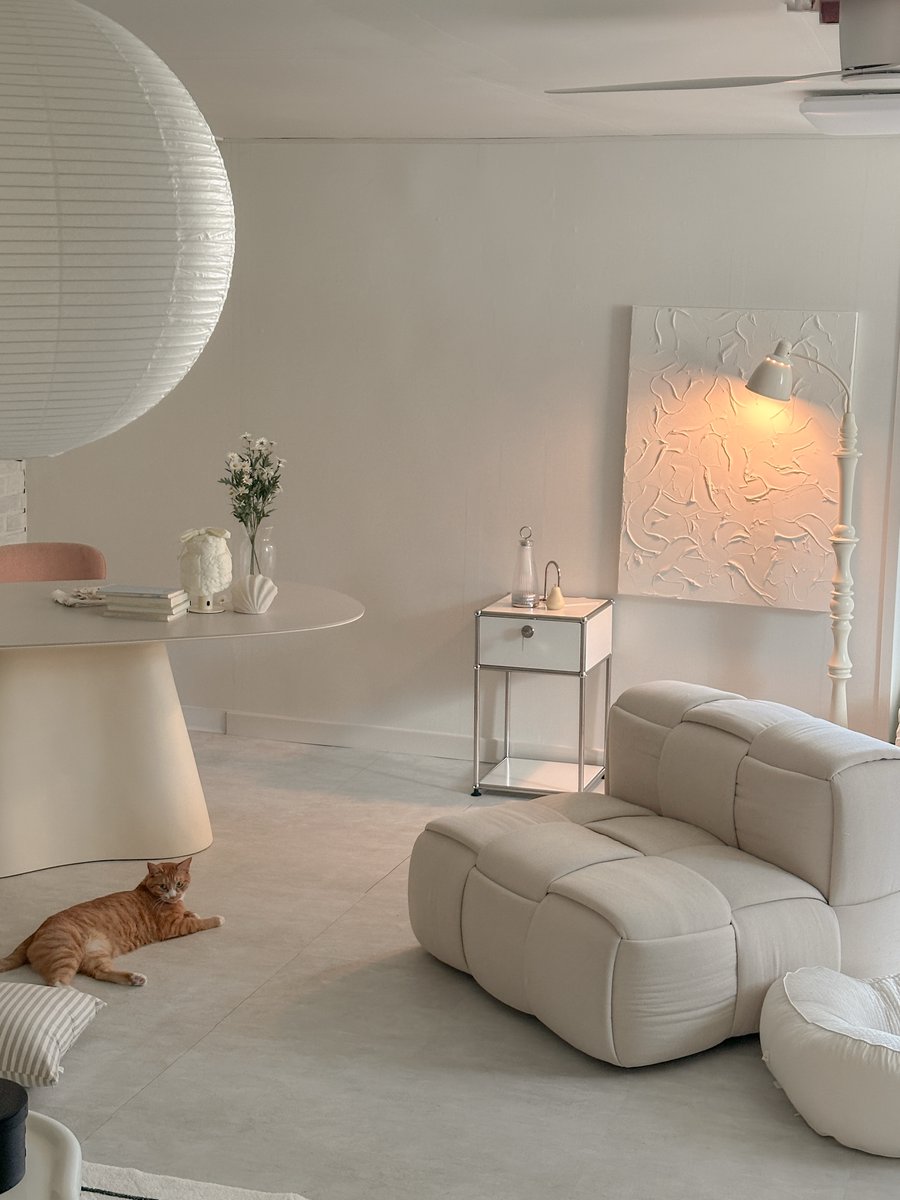 chloeandersonab's tweet photo. Our new sofa has completely changed the atmosphere, making every day feel exciting 🤍

Kkamkko, Nosik, and Komin seem to love it too. They’ve been running around so much that they broke another light 🥺 https://t.co/c0x7gdtmHt