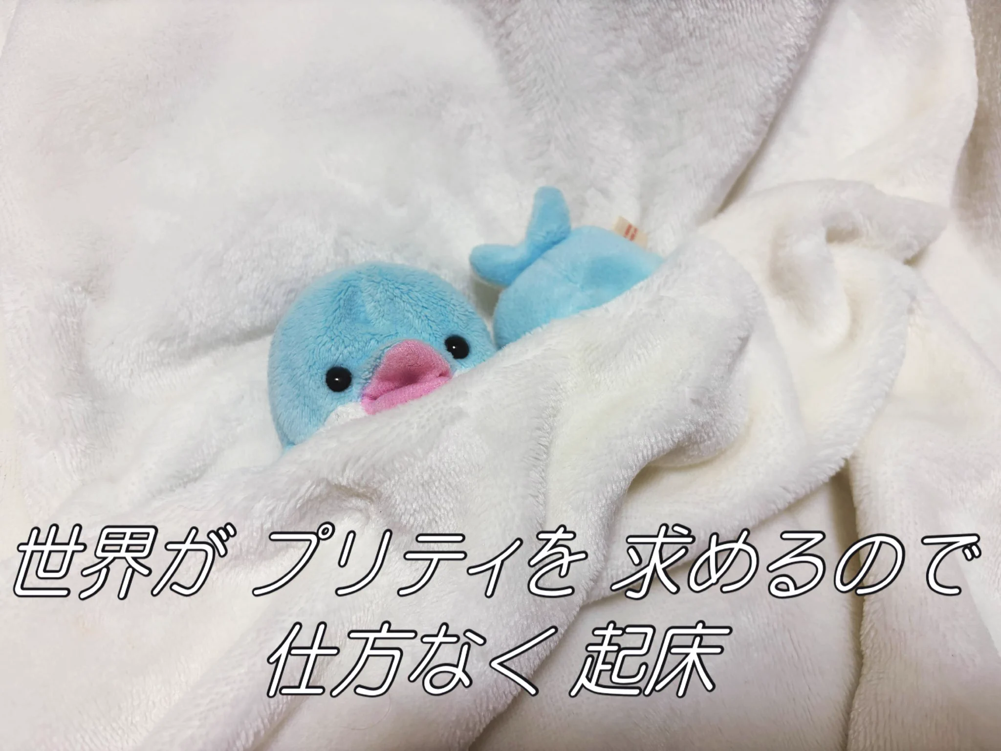 Reposts by 朝久間もに☀️🧸 (@asakuma_morning) / X