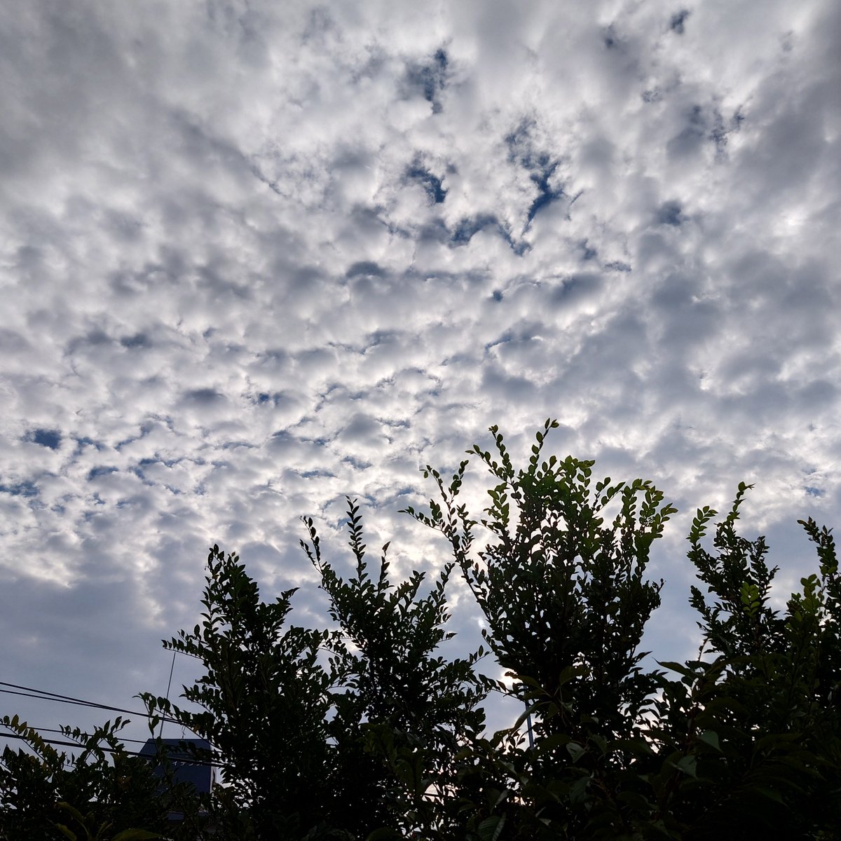 MARIMOTCHT's tweet photo. 雲が広がっております🌫️
湿度も高くムシっとする体感です😰
皆さま今日も１日ご安全に🙇
#いまそら https://t.co/Rf3nUbXW9G