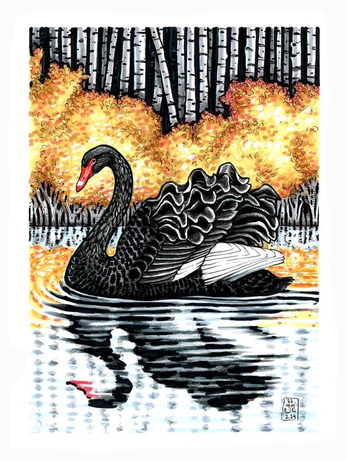 DesignStack_co's tweet photo. Black #Swan.  🍃️🌺️🍃️
Colour #Pencils Marker and Pens #Bird Drawing. By Veron Rishka. https://t.co/dAPAgqikBJ
