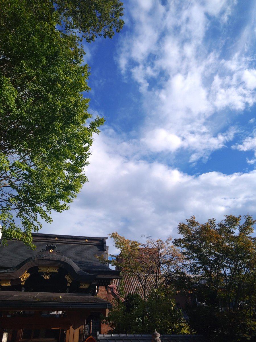 phantasialibro's tweet photo. 明日からまたしばらく青空が見られないのかしらね https://t.co/laqy5ziuvg