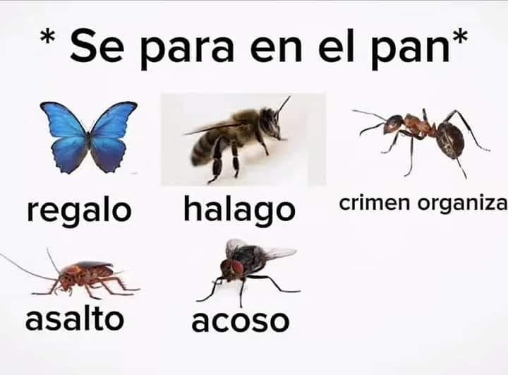 bjs_alejo2's tweet photo. https://t.co/8JFmWvLLzD