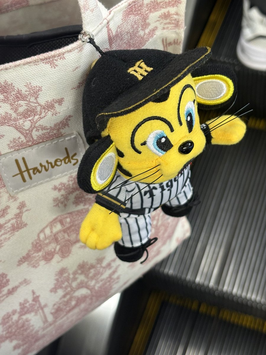 alasa_genkai's tweet photo. 今日明日と現地🐯🐯🐯 https://t.co/E5Qd83v7wK