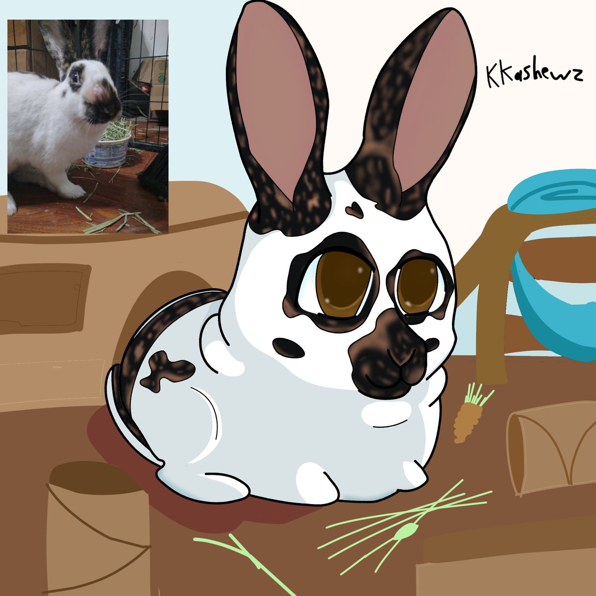 maybemattmp3's tweet photo. @MelxRedgrave How is my rabbit political https://t.co/kMKbiqHD8s