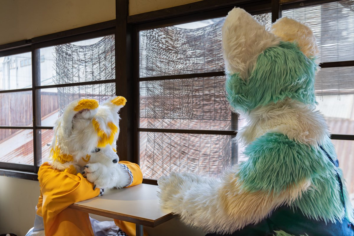 neos_moff's tweet photo. #FursuitFriday 
#サケカスケモノ会 
どしたん、話聞こか？

📷@BD_902 https://t.co/xVosPHJ8Bd