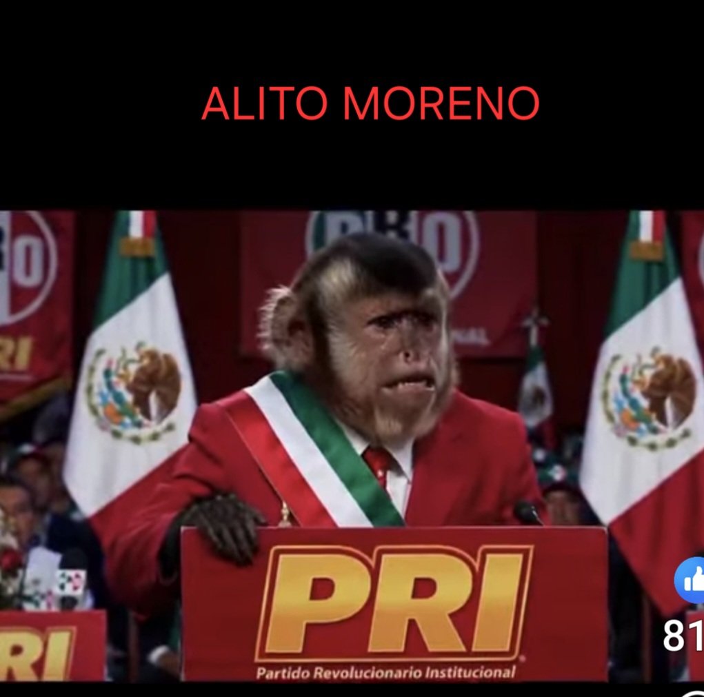 Michael26487751's tweet photo. @RicardoAlemanMx https://t.co/qY0FXPZusz