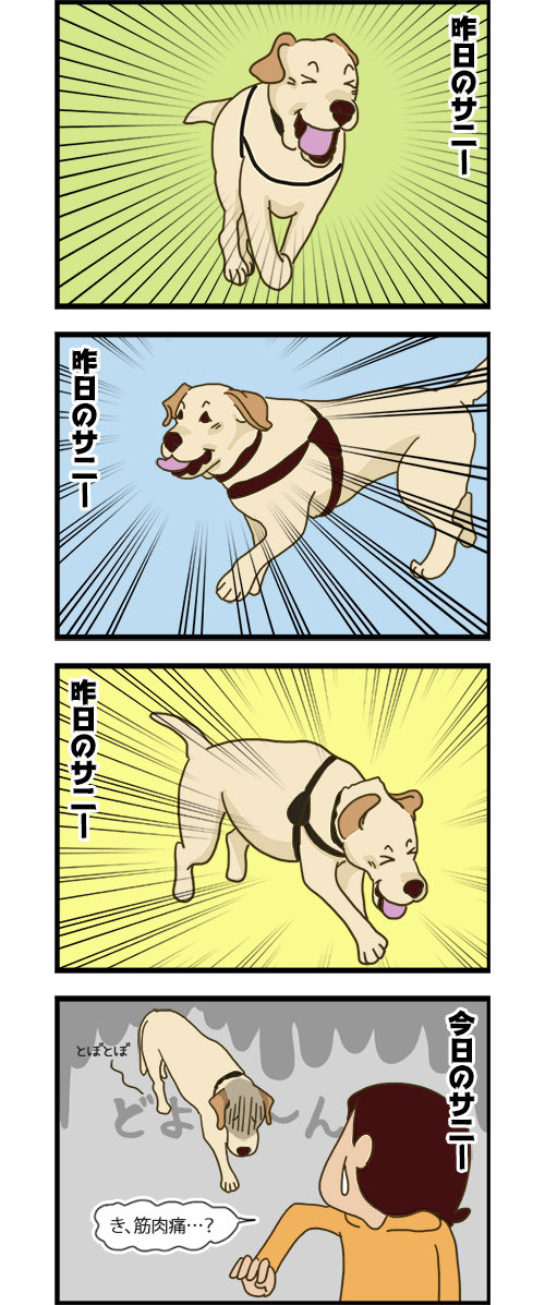 RunaSiaFF14's tweet photo. @DogMeat_game こうなるか..? https://t.co/T6AfsgCYTp