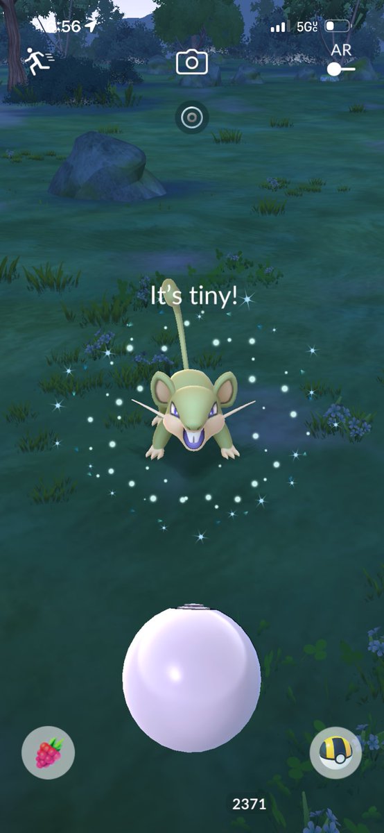 ZOOTEDZACH96's tweet photo. Tiny shiny. #pokemongo #spotlighthour #rattata #shiny #fyp https://t.co/gHiR7cNOwq