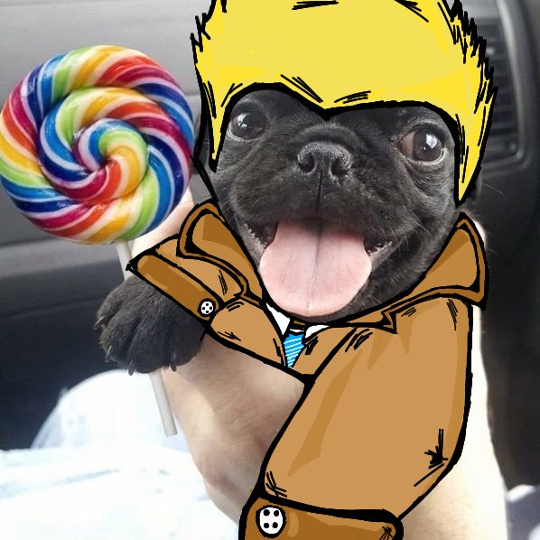 fringzrs's tweet photo. Cachorrinho Constantine https://t.co/tbiMdlhHV4