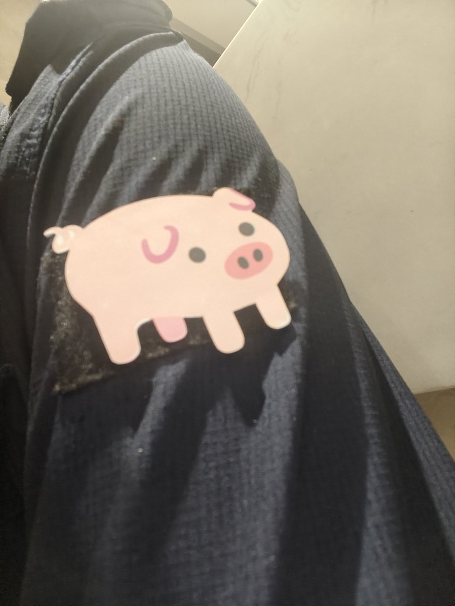 HuiYe617's tweet photo. 我跟猪唯一的不同点是我没有那么可爱，但相同点就是在屠宰场的命运
#男娘 #伪娘 #男の娘 https://t.co/Fvw9QYD00R