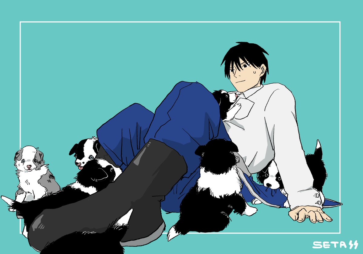 Grayghost_1234's tweet photo. 🐶🐶🐾🐾 https://t.co/Fz2DdP8GVx