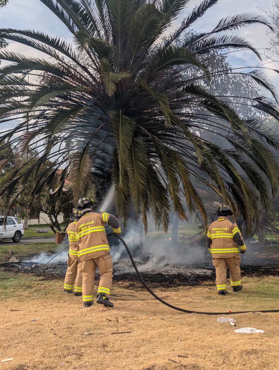 BomberosBogota's tweet photo. 🚨Controlamos una quema forestal registrada en el sector de Héroes, sobre el separador vial arborizado. Durante la intervención se efectuó el aseguramiento del área y las labores necesarias para controlar y extinguir la quema, evitando su propagación a la vegetación circundante. https://t.co/w3Mb0bwQ9W