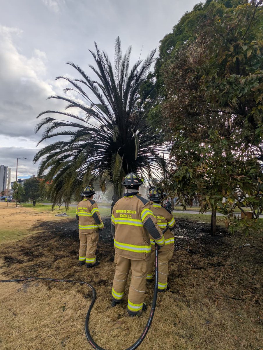 BomberosBogota's tweet photo. 🚨Controlamos una quema forestal registrada en el sector de Héroes, sobre el separador vial arborizado. Durante la intervención se efectuó el aseguramiento del área y las labores necesarias para controlar y extinguir la quema, evitando su propagación a la vegetación circundante. https://t.co/w3Mb0bwQ9W