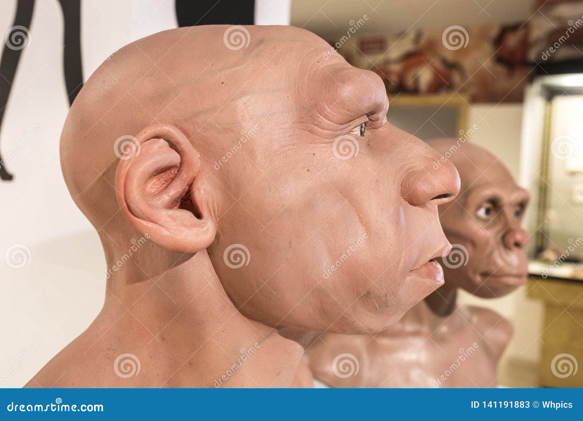 Julian_Libertar's tweet photo. @AyalaCarlOzarco la cara de Neandertal de ese zurdo hp explica por qué tan bruto https://t.co/CGJ10aFUpj