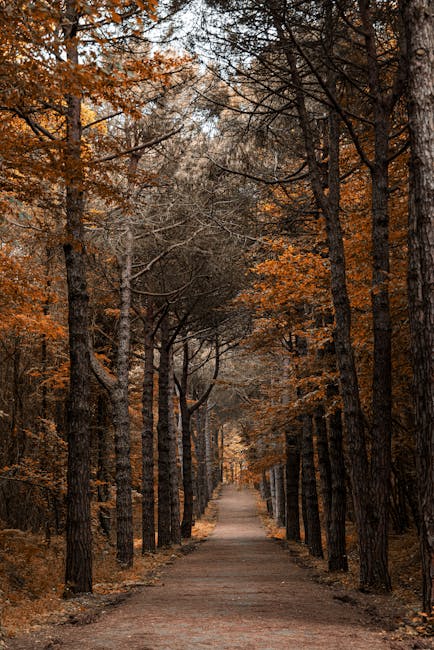 lyleebe9qte's tweet photo. than before Step into place where stress doesn’t comfort a follow, as mickie chutaYou this level of care You’ve been pushing too ✋ touch. deserve hard—this janie maruyama https://t.co/dJqsWLOFg7