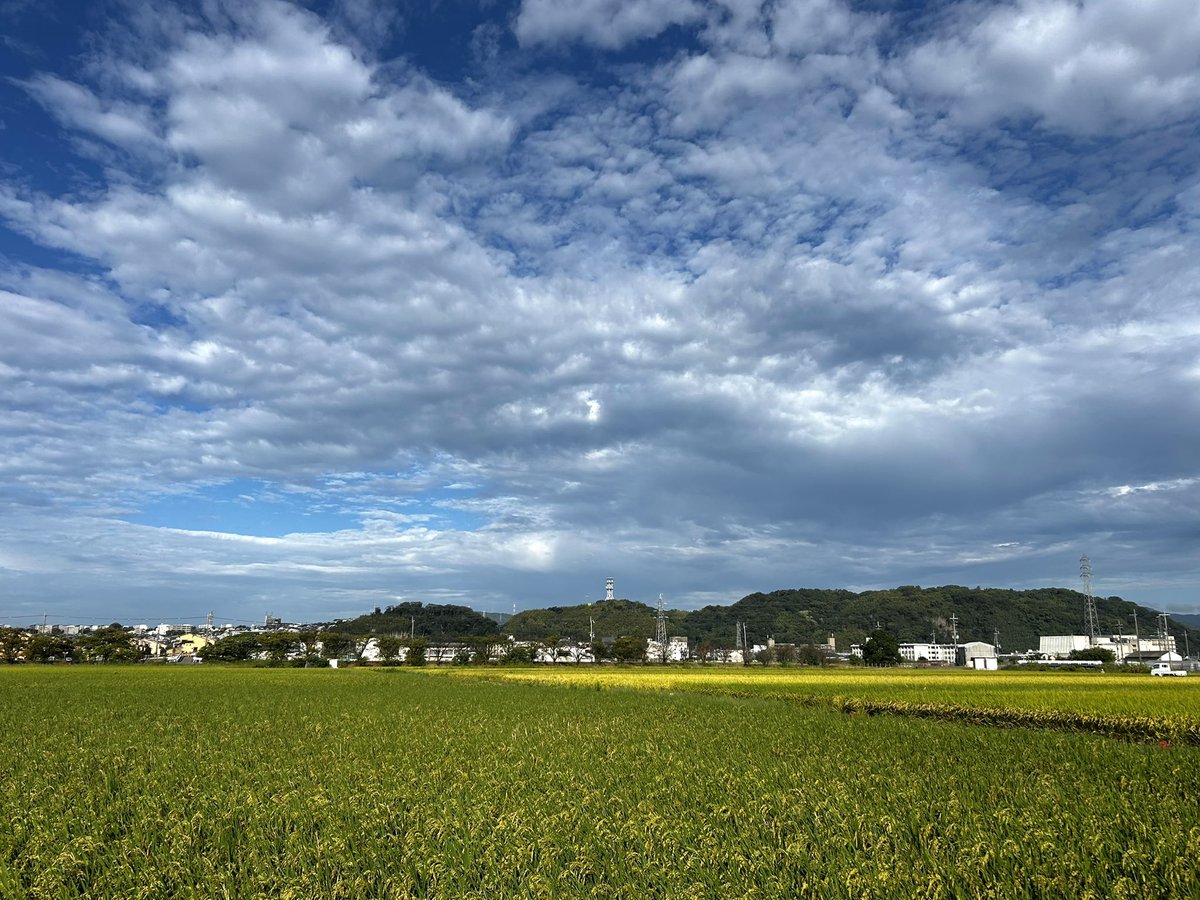yochisa1127's tweet photo. おはよう。 #イマソラ #秋空 https://t.co/SmfSp6MEdi