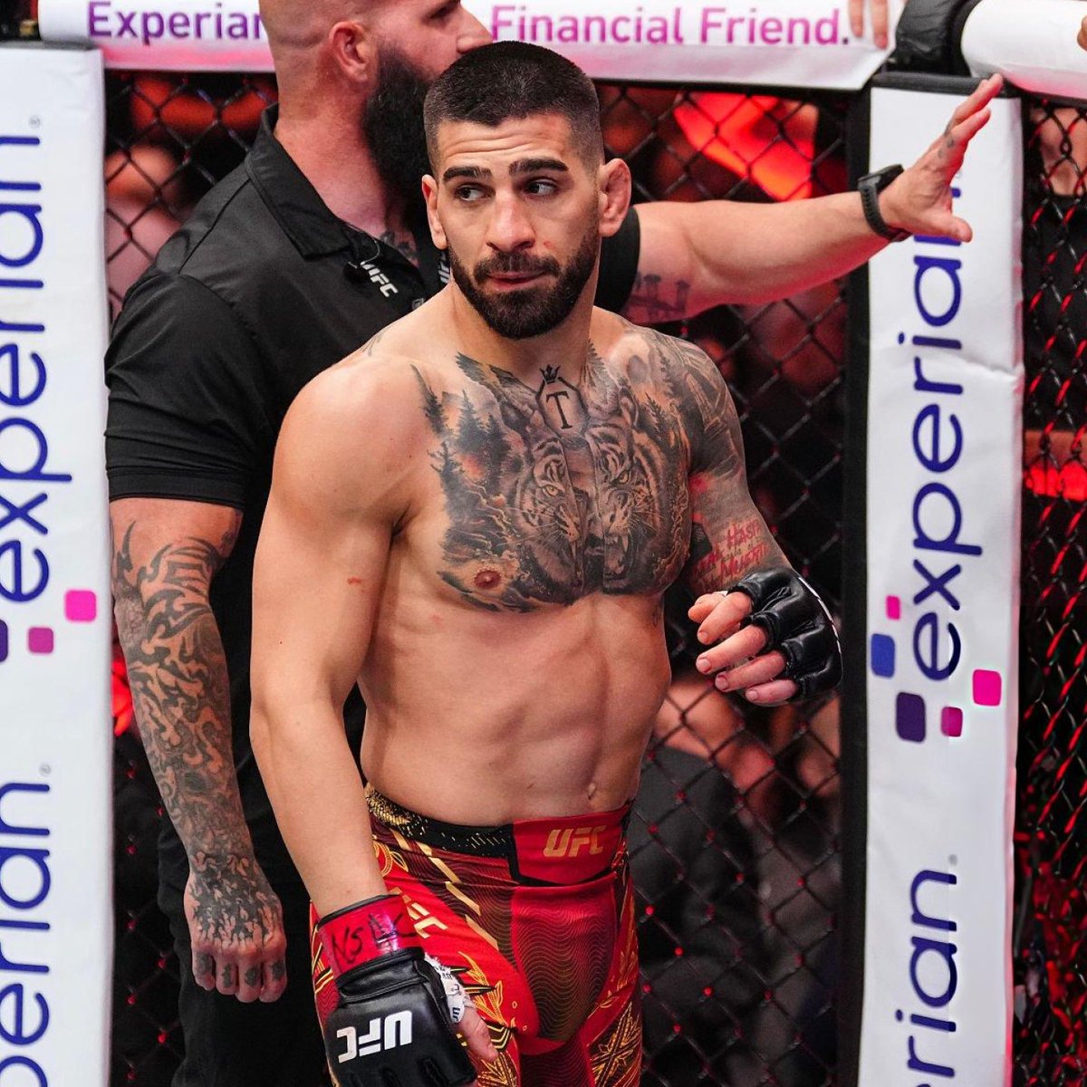 ChampRDS's tweet photo. 🚨 Odds for Ilia Topuria's next opponent, per @Polymarket 👀

Paddy Pimblett - 56%
Justin Gaethje - 19%
Benoit Saint Denis - 12%
Arman Tsarukyan - 9% https://t.co/9Kzsb56QEM