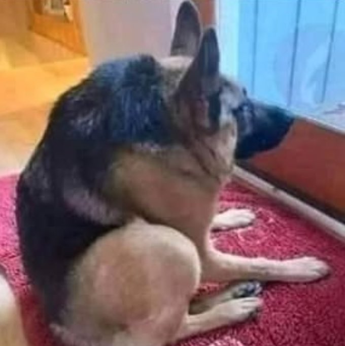 Eli_windylants's tweet photo. Ayuda creo que me van a funar sin ser famoso XD https://t.co/Hzcd5WxfBf