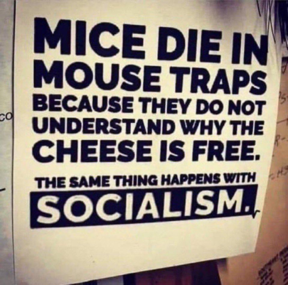 RogerBernards's tweet photo. Truth!!  We are living in a society that doesn’t understand why the cheese is free!! https://t.co/zG6SpOyfHo