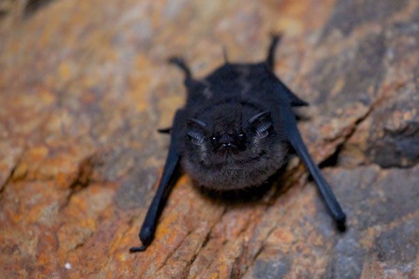 battwting's tweet photo. when youre mean to me this is who youre being mean to btw https://t.co/rF5rtG9ieJ