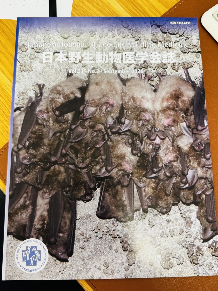 kncapa0201 tweet picture