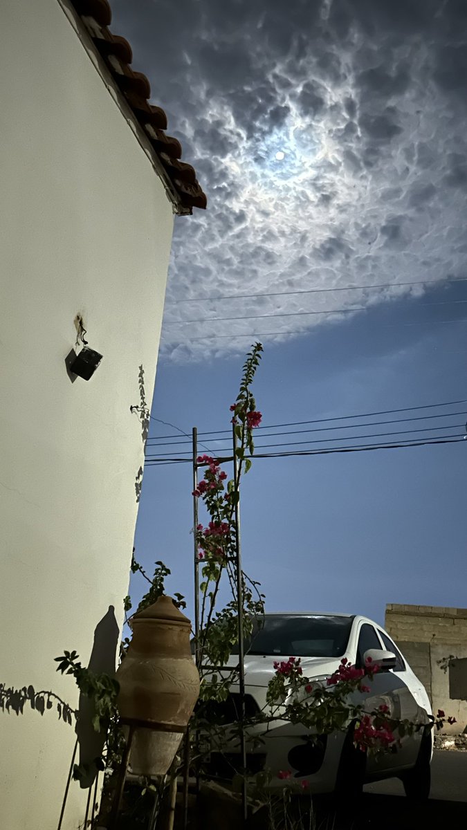 myzdr85's tweet photo. وفي ليلـــــــةَّ الجمعةَ :
يارب سعةً ويُسرًا ومسرّةً وقُرّةَ عين🤎. https://t.co/DXKqrjnFVY