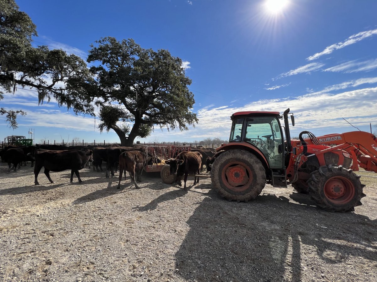 Mike_Oda's tweet photo. We still run the farm and mainly sell the live animals now as the pricing has become very favorable. I would NOT recommend getting into the DTC meat business unless you hate yourself and hate money. I think SRF and others have been very successful due to their vertical integration and immense scale.