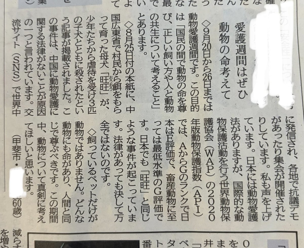0cBe5N9Pt6e6NNu's tweet photo. 新聞の投稿欄より

よく書いてくれた https://t.co/5Nnumb9QvW