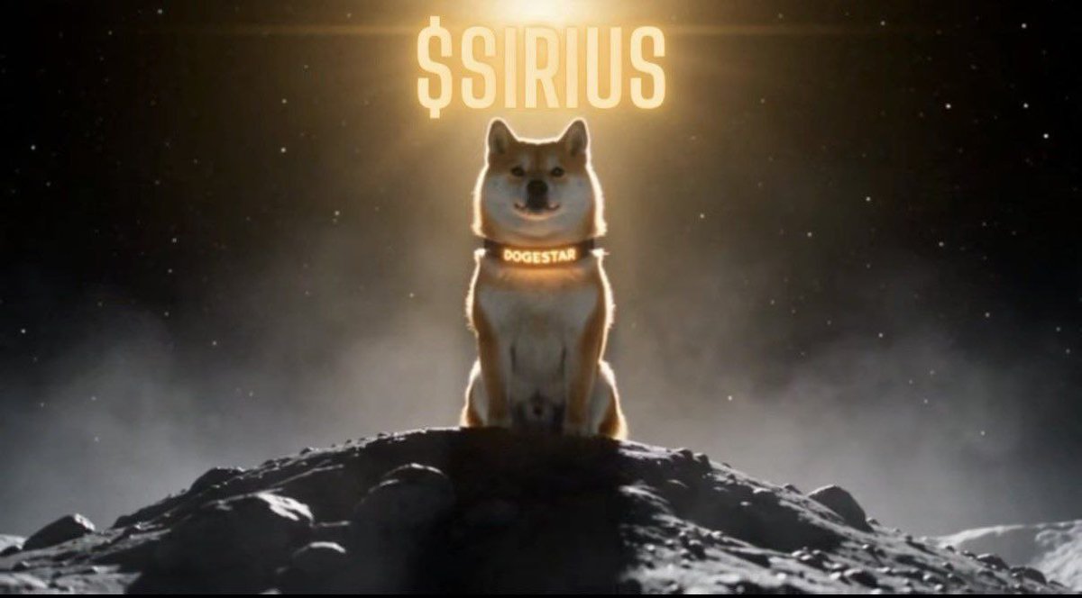 DogestarOnRH's tweet photo. Sirius Season https://t.co/A47onyineh