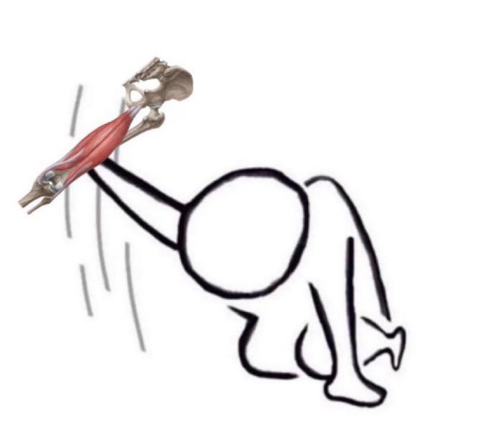 smitty_muse6's tweet photo. TAKE MY HAMSTRING SMITTY https://t.co/UpxG7hIOUS