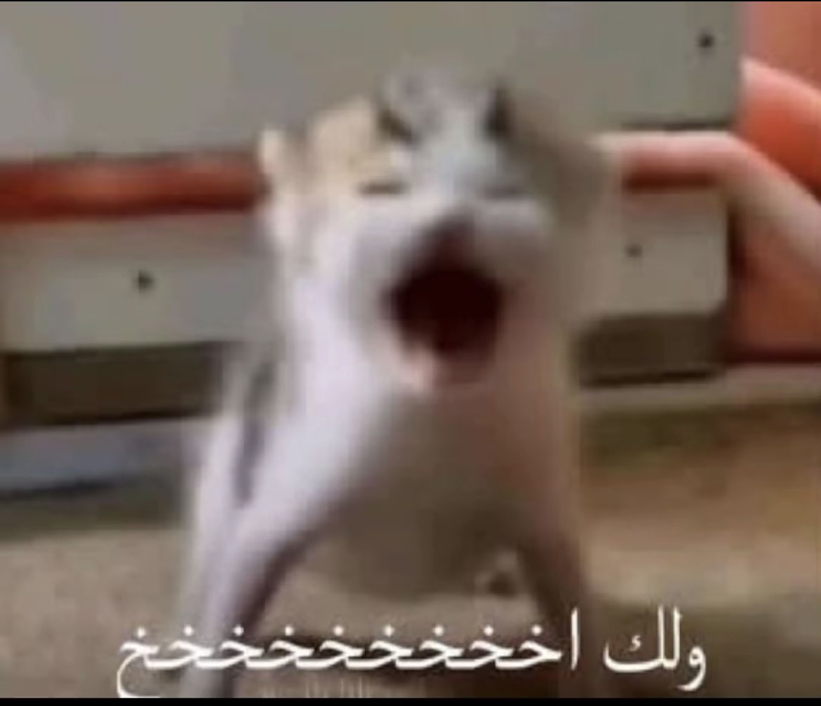 pirevunakso's tweet photo. اخ وديت جوالي القديم علشان اصلحه قام فرمته https://t.co/AVHsJ2RHLb