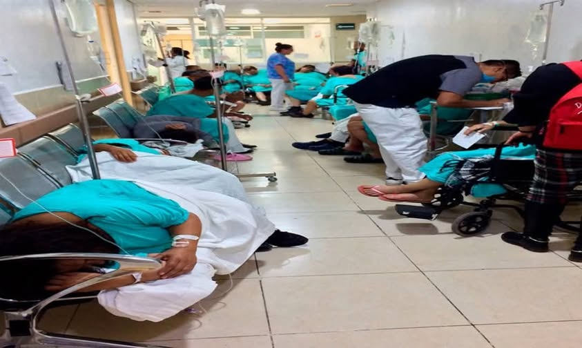 lunadeandromeda's tweet photo. 45 millones por dos horas de música: el festival de la insensibilidad
Mientras en el IMSS no hay quimioterapias, en Veracruz el gobierno federal se gastó 45.4 millones de pesos en un DJ.
No es una metáfora. Es un contrato.
El pasado mes de abril de 2026, la Secretaría de Cultura pagó 45 millones 368 mil pesos por el concierto de Martin Garrix en la Macroplaza del Malecón de Veracruz. Dos horas de luces, "Animals" a todo volumen y pirotecnia.
Se firmó 48 horas antes del evento. No hubo concurso, no hubo competencia. Solo un oficio: DGPFC/0353/2026. Tome su dinero y ponga al DJ.
45 millones de pesos alcanzan para:
- 90 mil recetas de medicamentos básicos.
- Equipar con aires acondicionados y camillas tres hospitales rurales completos.
- Pagar un año de sueldo a 150 médicos especialistas.
Mientras los hospitales se caen a pedazos, el gobierno prefiere que el pueblo baile.
