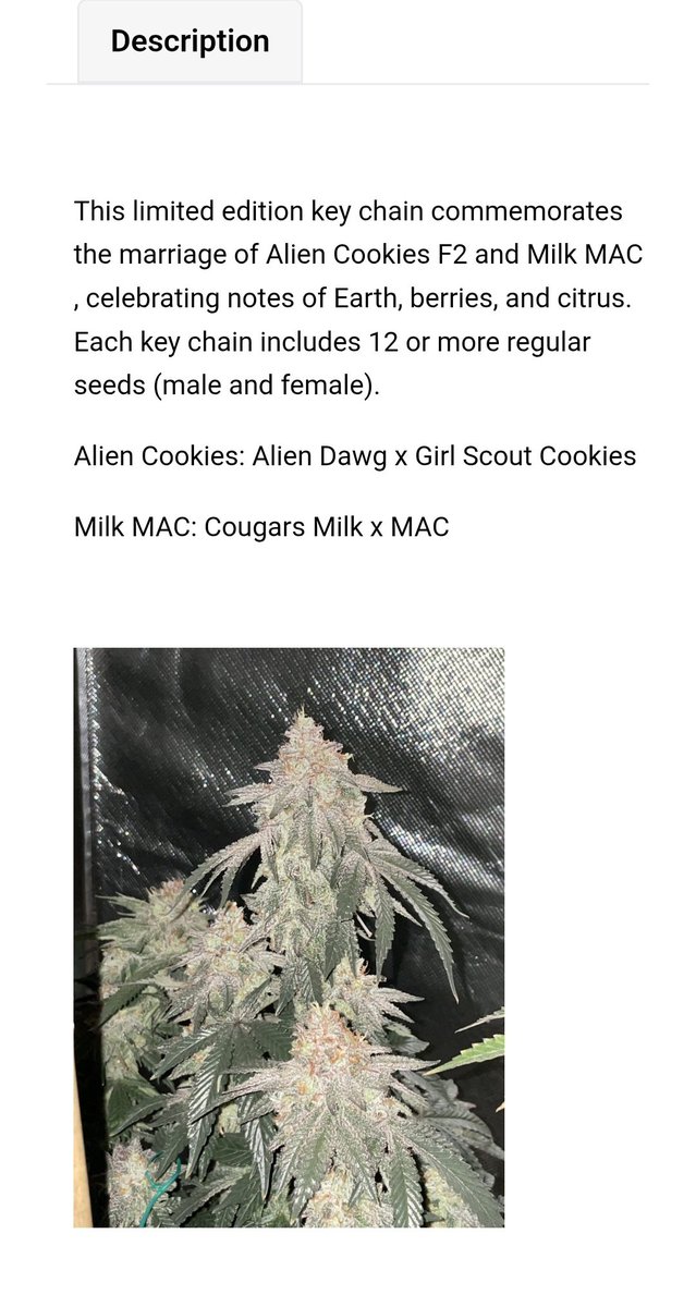 MedicallyfitTv's tweet photo. Ooh my I just ordered M.O.M (Milk of MACnesia) from @Capulator1 #growyourown #livingsoil #supersoil #cannabiscommunity #weednerd https://t.co/M2ZI65PjrH