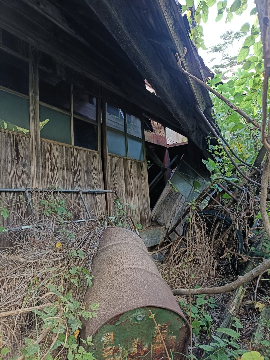 harano_chi_tkd0's tweet photo. https://t.co/UthouOUVJc