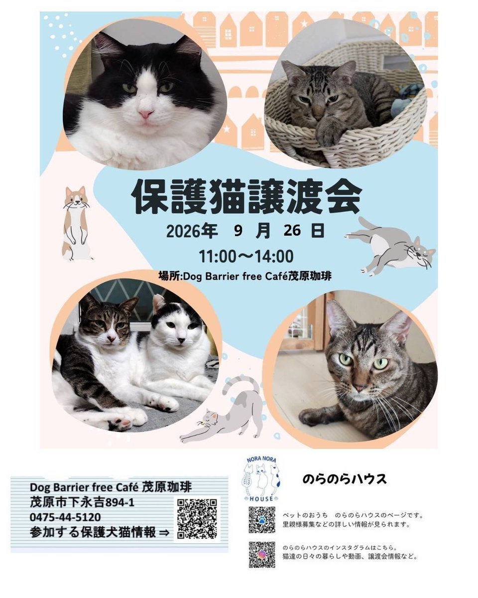 noranorahouse's tweet photo. おはようございます！

明日26日(土)11時～
茂原珈琲さんで保護猫譲渡会開催します😸
チャリティー販売もありますので沢山のご来場お待ちしております😊

#のらのらハウス　#保護猫　#猫譲渡会　#茂原珈琲譲渡会　#猫里親さま募集中　　#チャリティー販売　#ご支援のご協力お願いします　#拡散希望 https://t.co/Gf5OyojhwS