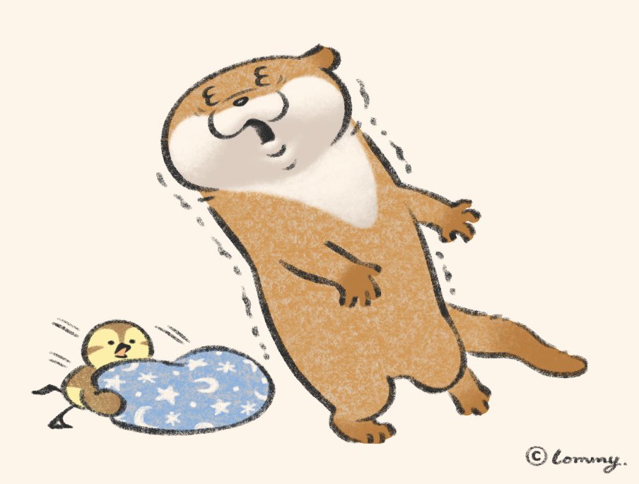 kawa_ii_uso's tweet photo. 睡魔撃退になるの💤
#カワウソ https://t.co/YARrGHkwt0