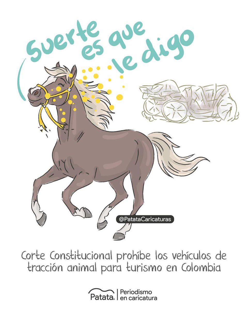 PATATAdibujo's tweet photo. 🐴🇨🇴 Prohíben los vehículos de tracción animal para el turismo en Colombia. 
🧵 https://t.co/w877sc67et