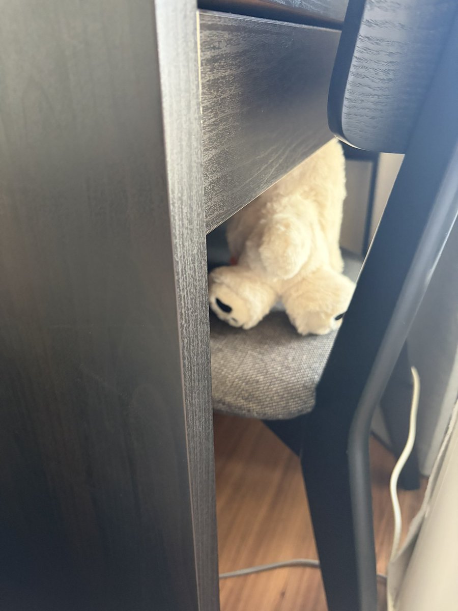 enbanba's tweet photo. 彼氏、前買ってきたこの犬を生理的に受け付けないらしく、気付くと目があわない位置に配置され直してて笑う。 https://t.co/6LPw6U0dKC