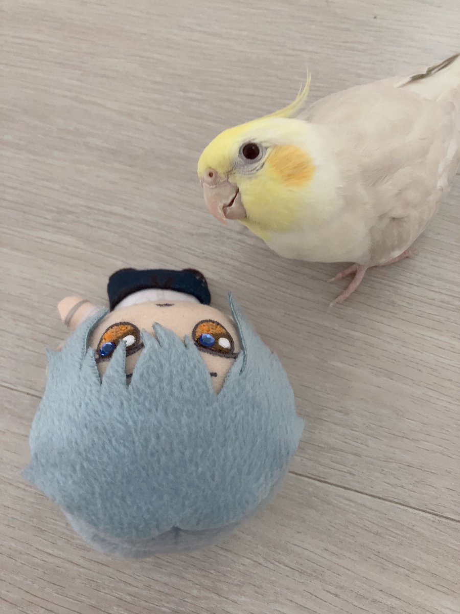 sokmgu's tweet photo. https://t.co/YqSG5yEohW